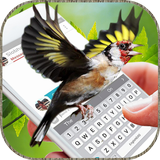 Fliegen Vögel Auf Dem Bildschirm: Lustige Gif App Zeichen