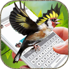 画面上を 飛んでいる鳥 - GIF画像 とともに 面白い アプリ アイコン