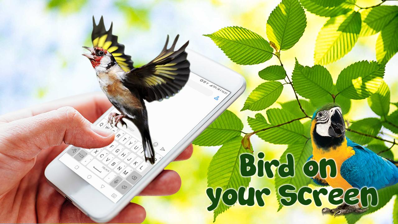 Музыка птицы на телефон. Птица из заставки к методу. Fly Bird телефон. Птицы заставка телевизор реклама. Менял птиц на заставке компа.