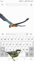 画面上を 飛んでいる鳥 - GIF画像 とともに 面白い アプリ ポスター
