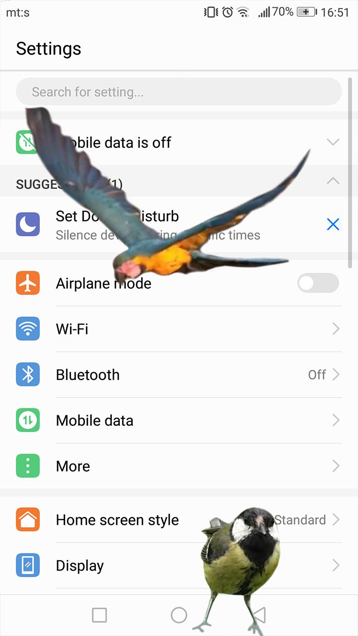 Android 用の 画面上を 飛んでいる鳥 Gif画像 とともに 面白い アプリ Apk をダウンロード Android 用の 画面上を 飛んでいる鳥 Gif画像 とともに 面白い アプリ Apk をダウンロード