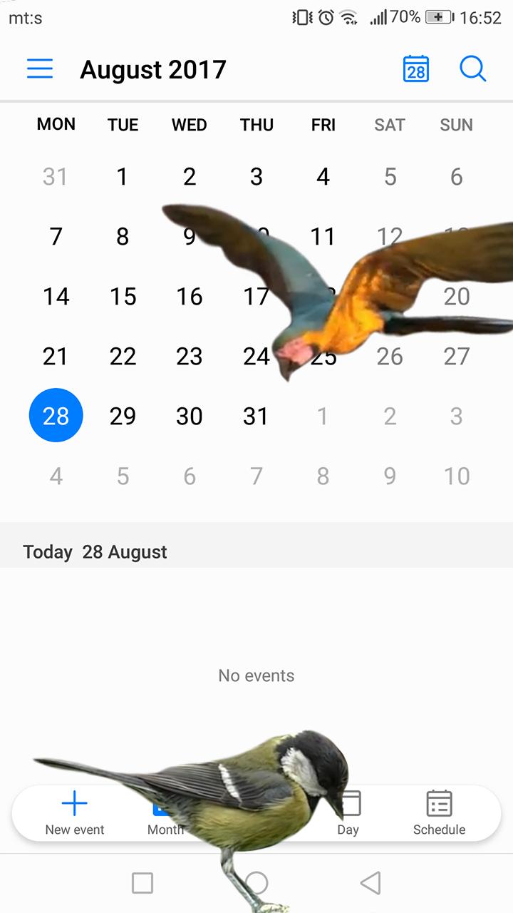 Android 用の 画面上を 飛んでいる鳥 Gif画像 とともに 面白い アプリ Apk をダウンロード Android 用の 画面上を 飛んでいる鳥 Gif画像 とともに 面白い アプリ Apk をダウンロード
