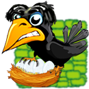Gutsy Crow APK