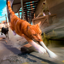 Cat Hunting Simulator Game APK