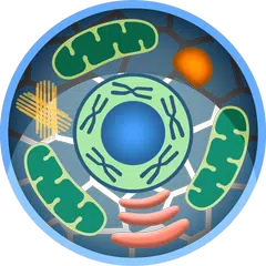 Cell World APK download