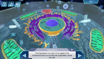 3 Schermata Cell World