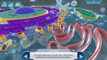 Cell World پوسٹر
