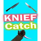 Knife Catch - Hitting and Shooting icône