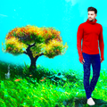 Underwater Tree Pic Editor