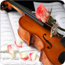 Poemas de Amor con Música APK