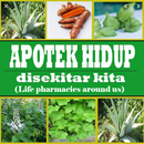 Diverses plantes médicinales traditionnelles APK