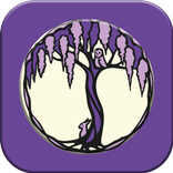 طلسم و دعانویسی - طلسم عشق