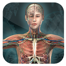 APK Female Anatomy 3D Guide