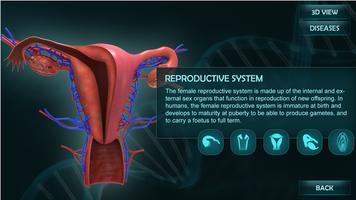 Female Anatomy 3D Guide captura de pantalla 3