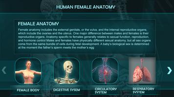 Female Anatomy 3D Guide Poster