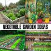 Idées de jardins potagers