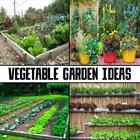 Vegetable Garden Ideas icon