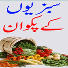 Vegetable Recipes Urdu иконка