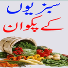 Vegetable Recipes Urdu icône