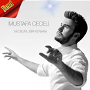 Mustafa Ceceli şarkıları 2019-Yaz Bunu Bir Kenara APK