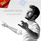 Mustafa Ceceli şarkıları 2019-Yaz Bunu Bir Kenara icône