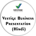 Business Presentation Vestige (Hindi)