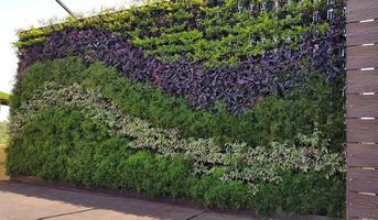 برنامه‌نما Vertical Garden عکس از صفحه