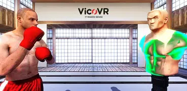 Box Fighter Viewer