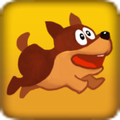 Dog Jump