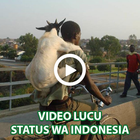 Video Lucu Status أيقونة