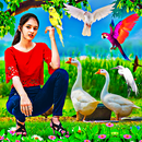 Bird photo frames and editor APK