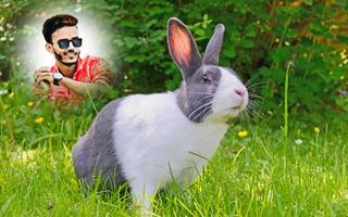 Rabbit photo editor and frames تصوير الشاشة 3