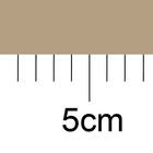 Measuring Length icon