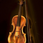 Icona Violin Wallpapers UHD