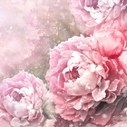 Vintage Roses Live Wallpaper Zeichen