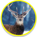 Deer Sounds APK