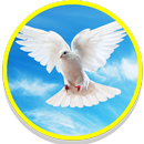 Dove Sounds APK