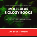 Molecular Biology Textbook