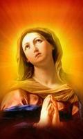 Virgin Mary Live Wallpaper 스크린샷 3