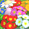 Flower Bed Of The Fairies