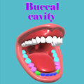 ”Buccal cavity