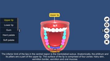 Buccal cavity скриншот 1