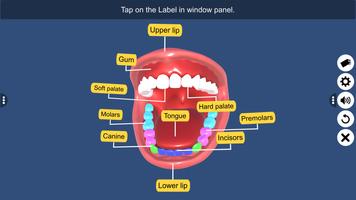 Buccal cavity скриншот 2