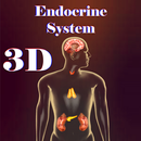 Endocrine System APK