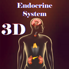 Endocrine System иконка