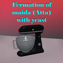 Fermation of maida with yeast APK