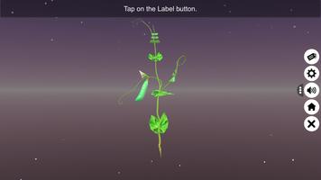 Parts of a Plant স্ক্রিনশট 1