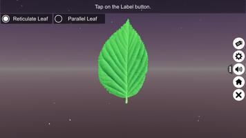Parts of a Plant স্ক্রিনশট 2