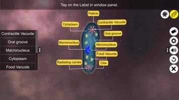 Learn Protozoa captura de pantalla 3