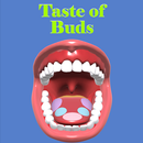Taste Of Buds APK